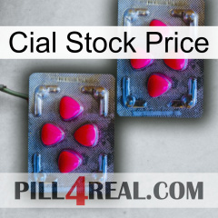 Cial Stock Price 14